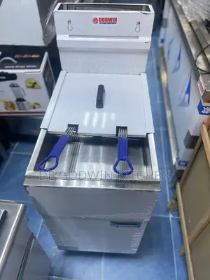 1tank Two Basket Gas Deep Fryer