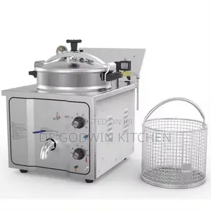 Electric Pressure Fryer