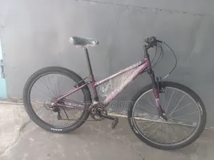 Apollo Jewel Sport Bicycle