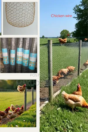 Ordinary Chicken Wire Net [Width - 1.2m; Length - 40m ]