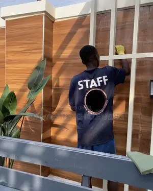Professional Cleaning Services