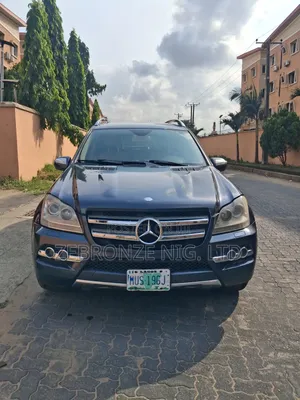 Mercedes-Benz GL-Class GL 450 2010 Gray