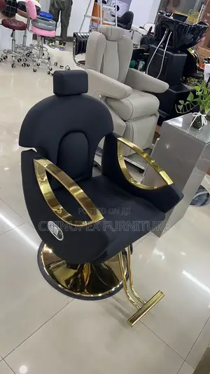 Barber Chair With Gold Leg and Base Salon Chair