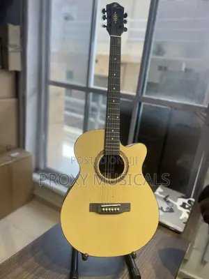 Acoustic Guitar