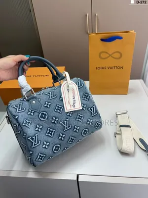 Louis Vuitton Female Denim Hand Bag