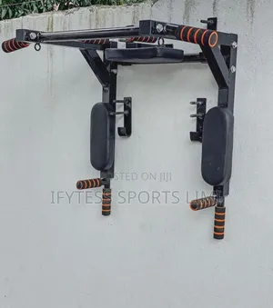 Rebranded Gym Wall Pull Up Bar