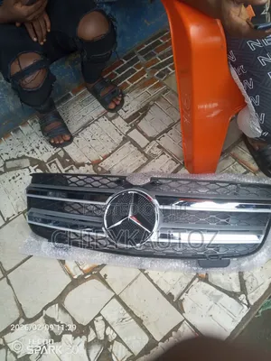 Front Grille for Gl 164 2008 Normal One