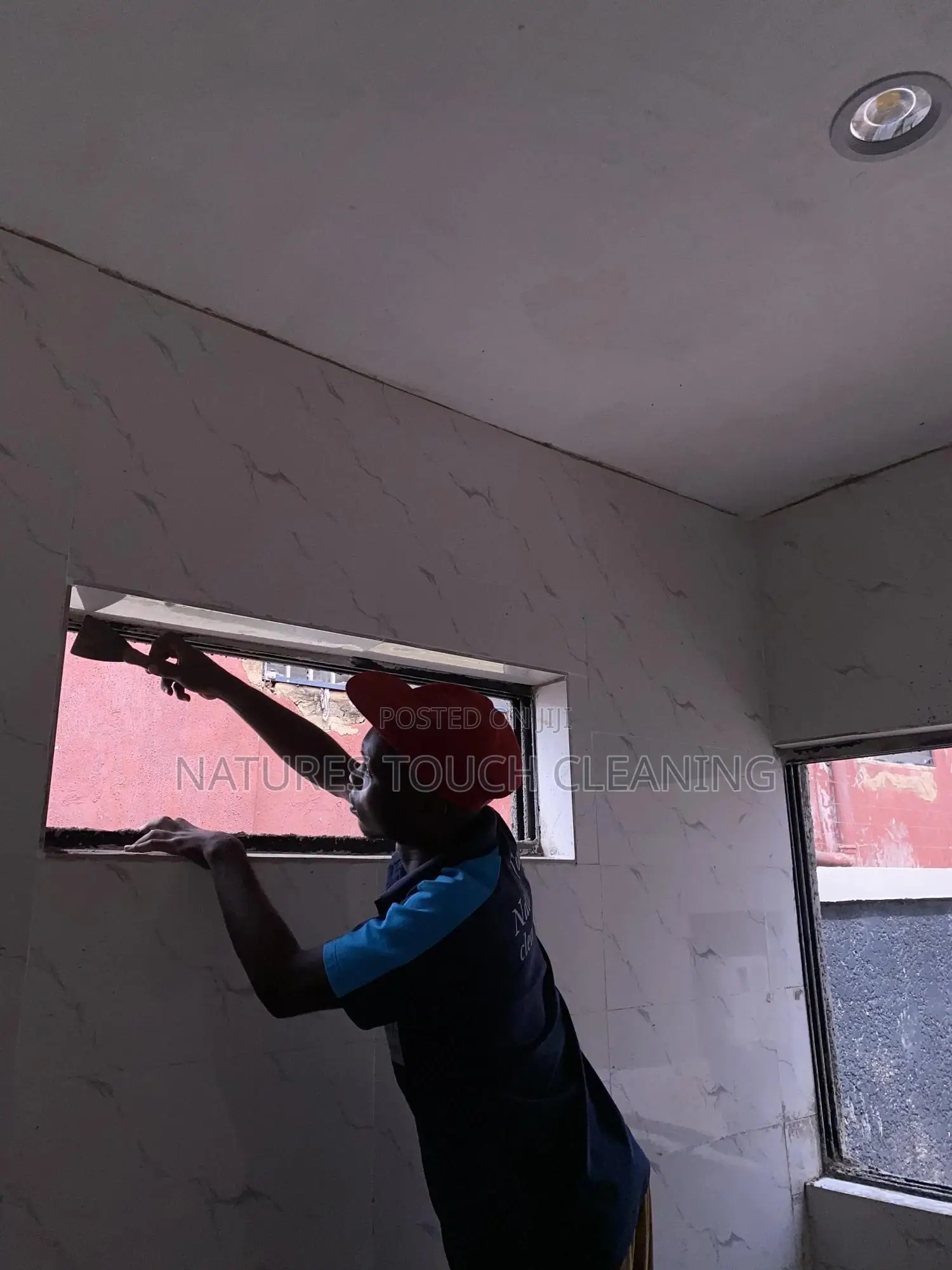 Professional Cleaning Services