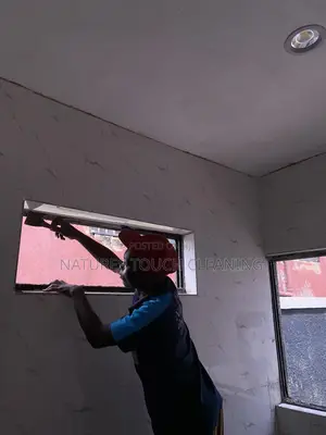 Professional Cleaning Services