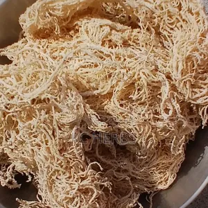 Sea Moss (From 50g)