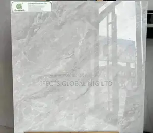 60*60 Super Glossy Tiles