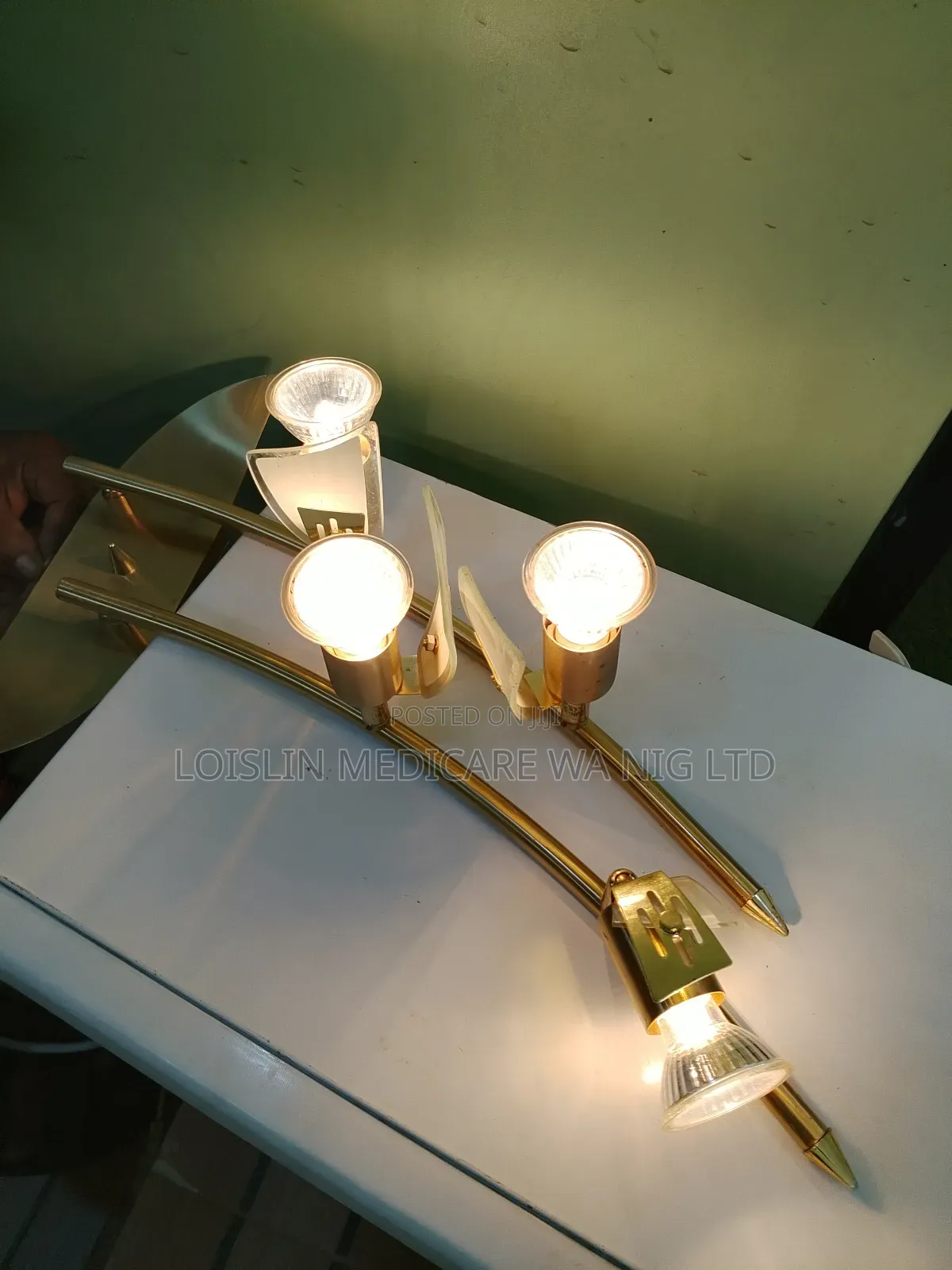Multi-Arm Adjustable Wall Spotlight