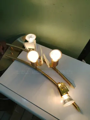 Multi-Arm Adjustable Wall Spotlight
