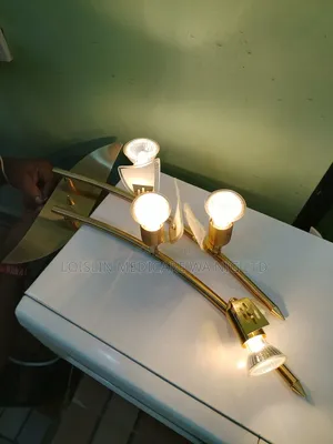 Multi-Arm Adjustable Wall Spotlight