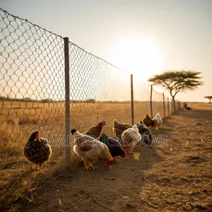 Chicken Wire Mesh Original Width - 1.2m Length - 40m