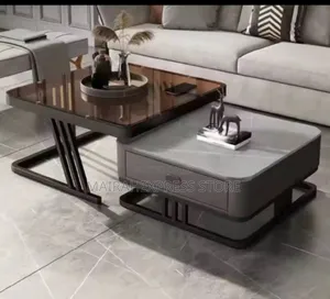Luxury Rock Slab Center Table Living Room T361.