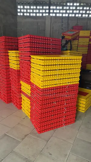 Pure Indian Chicken Transport Crate for Poultry Farmers