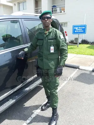 Private Bodyguard, Spy Personnel, Security Analyst/Advisor.