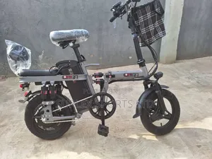 Electric Bike