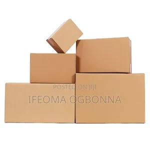 Medium Sizes of Carton