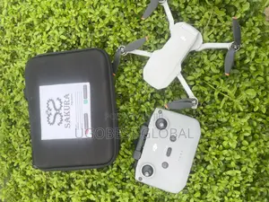 Rent a Drone and Pilot