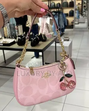 Luxury Coach Bag
