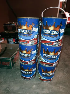 Princess Gloss Paint 4 Liters All Colors