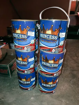 Princess Gloss Paint 4 Liters All Colors