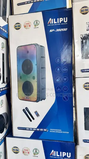 Rechargeable Portable Party Box With Double Microphone