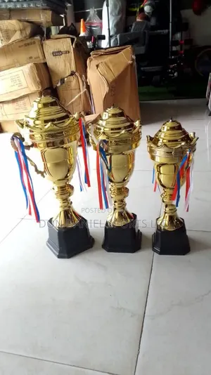 Big Trophy Cup