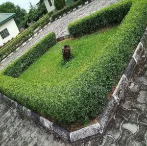 Garden Maintenance