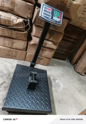 Best 300kg Digital Platform Scale