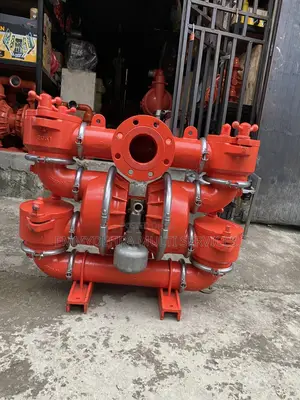 Diaphragm Pump Wilden Px20