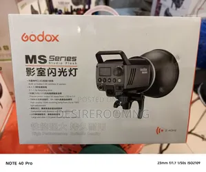 Godox Ms300 Studio Flash Monolight 2-Light Kit