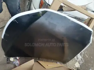 Bonnet Rx350 2023 2024 2025 Hood