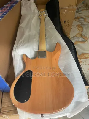 Professional 4strings Passive Guitar