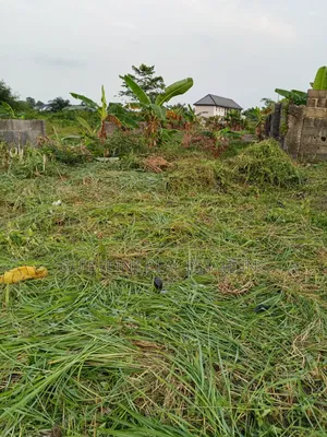 Half Plot of Land Very Close to the Tarred Road