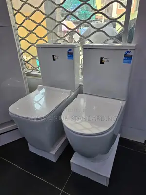 Hawani Executive Water Closets With Basin and Pedestal