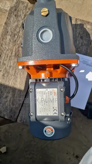 1 Hp Leo Surface Pump Cast
