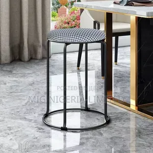 Gray Stainless Padded Side Stool