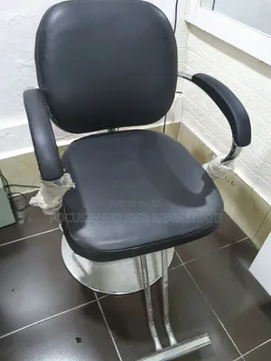 Salon Chair