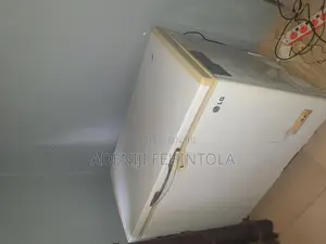 Lg Freezer