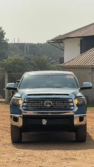 Toyota Tundra Double Cab 4x4 Limited 5.7L V8 2013 Gray