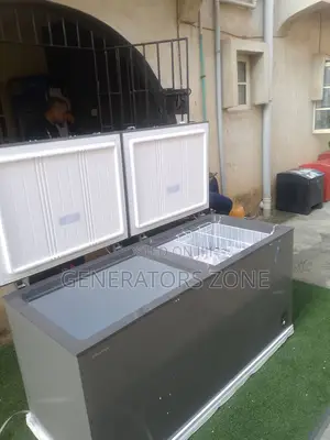 Dual Door Storage Freezer 500l Hisense Fc-66dd