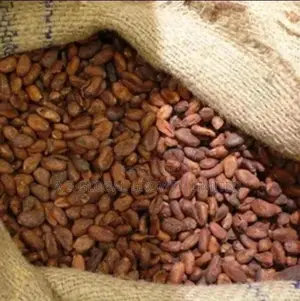 Cocoa Beans