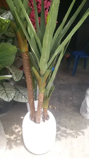 Lotus Artificial Plants With Flaks