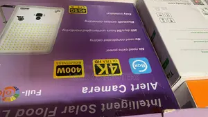 Intelligent Solar Flood Light Alert Camera