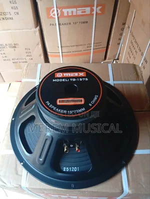 15 Inches Omax Iron