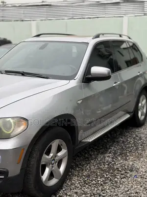 BMW X5 xDrive 48i AWD (4.8L 8cyl 6A) 2009 Gray