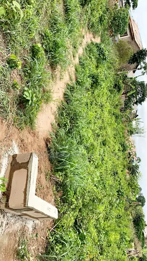 50by145 a Plot of Land at Alasia/Olaoparun Ibogun Ifo Close to Road